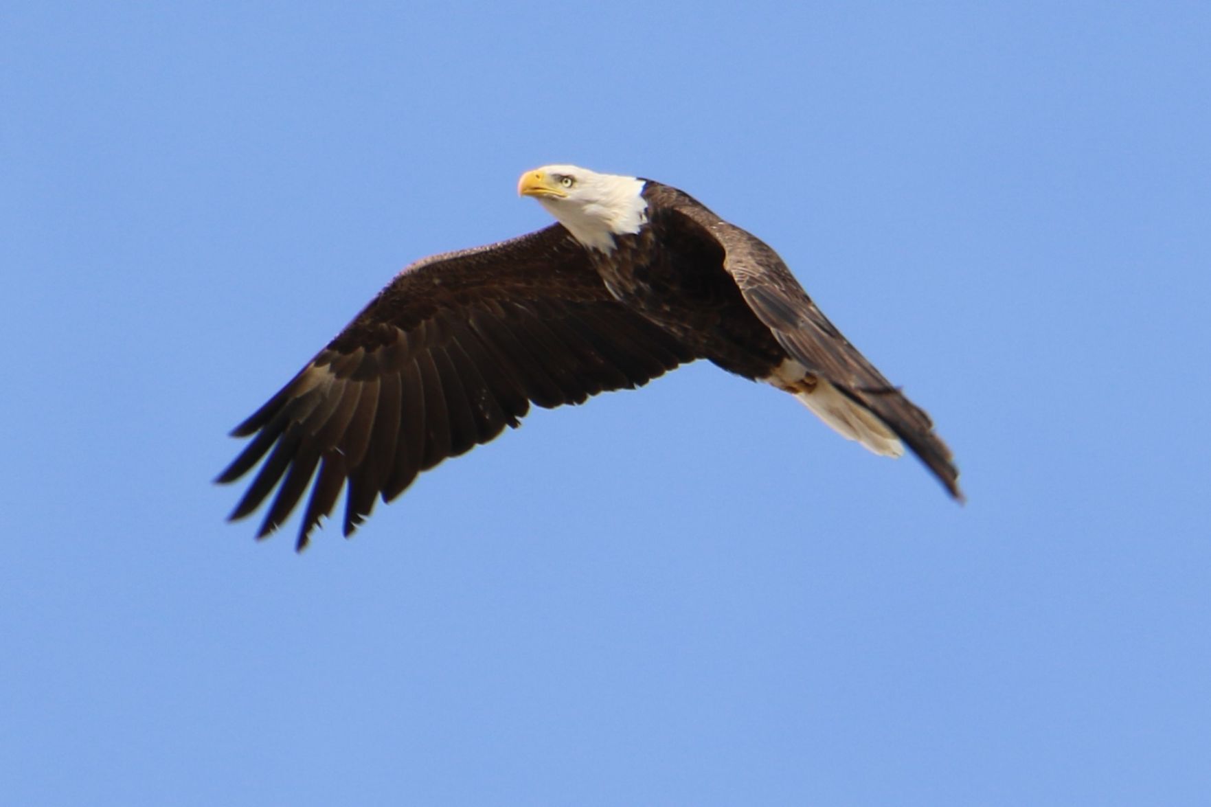 Flying By